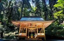 Tuyi Group Japan Co., Ltd.8