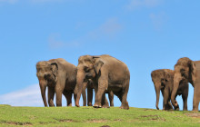 Tuyi Group Japan Co., Ltd.6