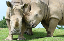 Tuyi Group Japan Co., Ltd.7