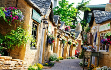 Tuyi Group Japan Co., Ltd.8