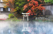 Tuyi Group Japan Co., Ltd.9