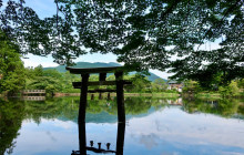 Tuyi Group Japan Co., Ltd.10