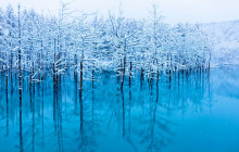 Tuyi Group Japan Co., Ltd.7