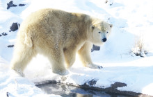 Tuyi Group Japan Co., Ltd.8