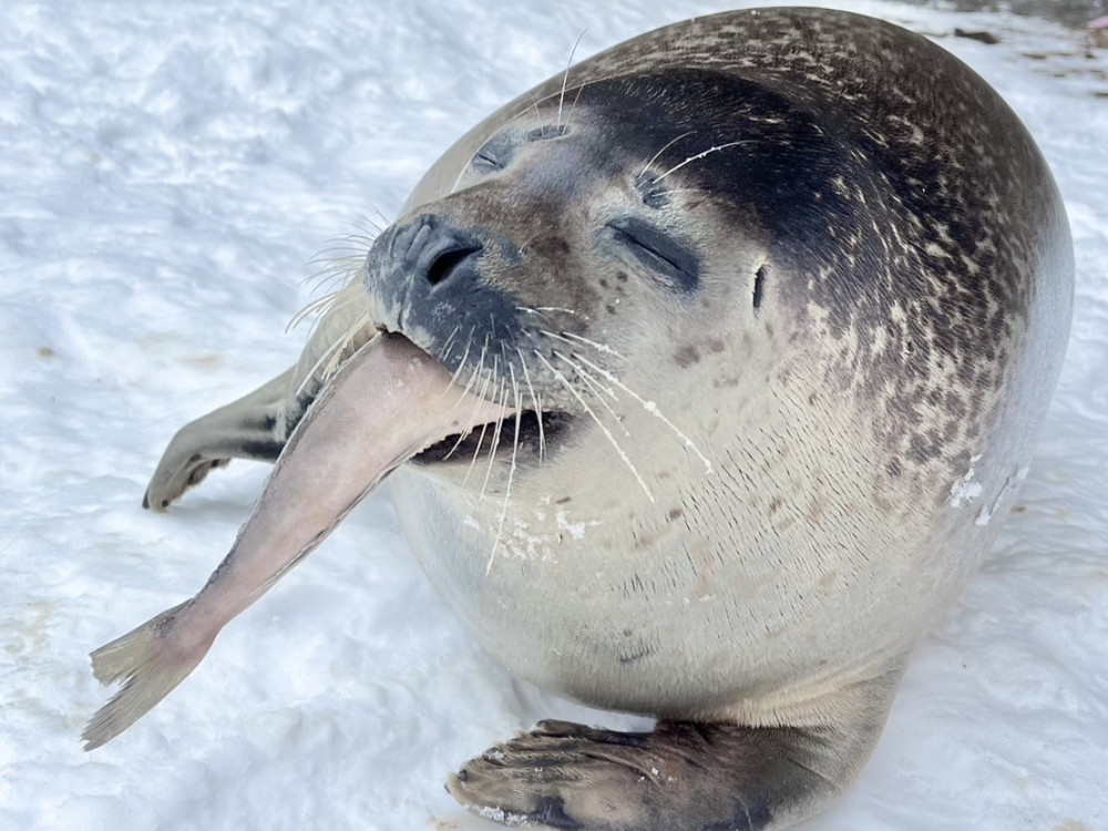 Tuyi Group Japan Co., Ltd.