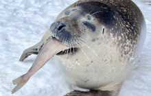 Tuyi Group Japan Co., Ltd.9