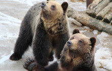 Tuyi Group Japan Co., Ltd.6