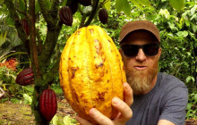 Global Enterprises bv7