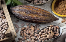 Global Enterprises bv9