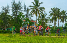 Discova Day Tours and Activities14