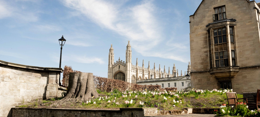 Shared Mandarin Cambridge Tour & Punting w/opt King's Chapel
