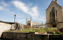 Alumni Tours8