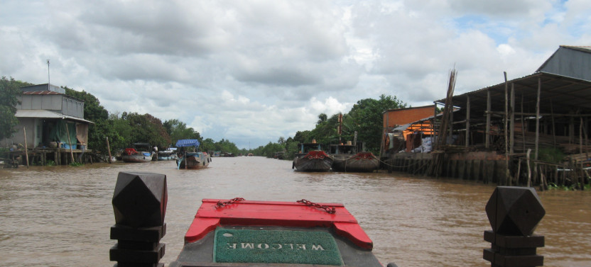 Private Shore Excursion: Explore Mekong Delta from Cruise Port