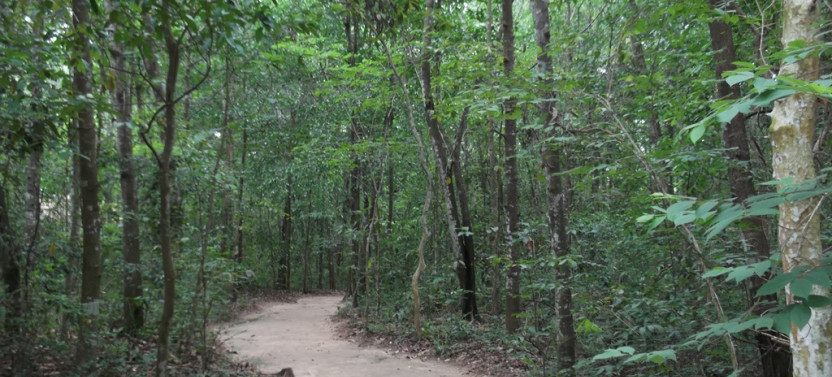 Private Shore Excursion: Cu Chi Tunnels & City Tour from Cruise port