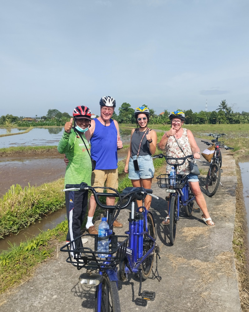 E-Bike Cycle: South Ubud Nature & Villages