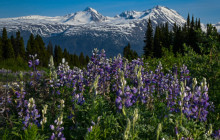 Rainbow Glacier Adventures3