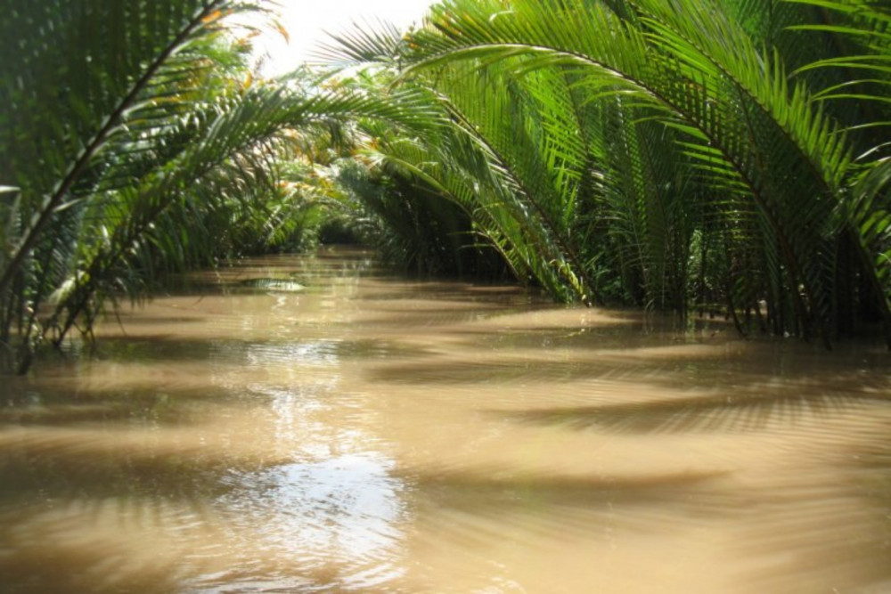 Private Tour: Mekong Delta and Ben Tre Coconut Island in 1 Day