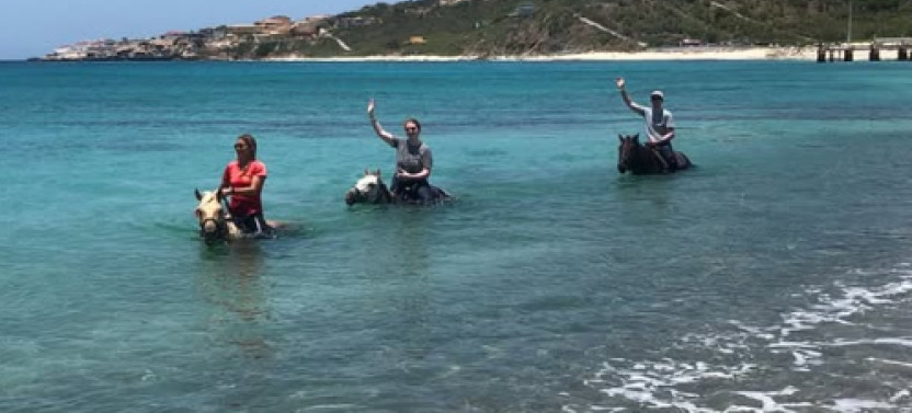 1 Hour Horseback Trail Ride at Seaside Nature Park