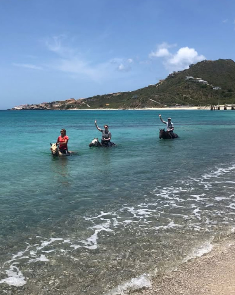 1 Hour Horseback Trail Ride at Seaside Nature Park (Private)