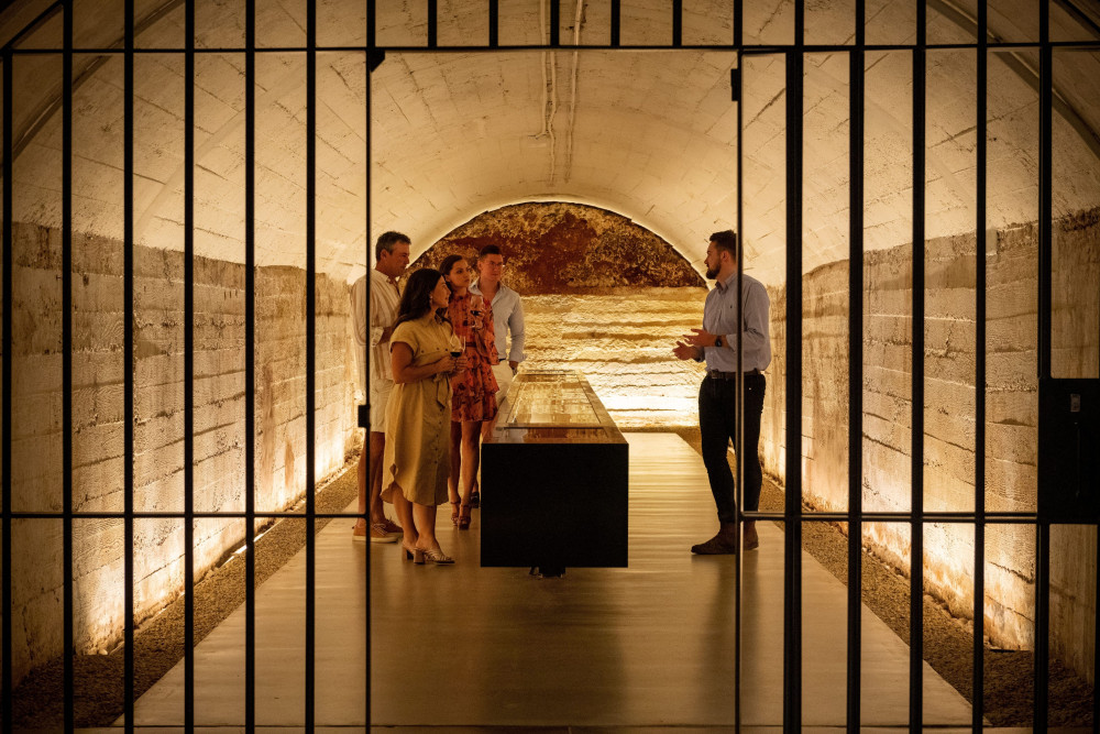 Small Batch Wine Tours