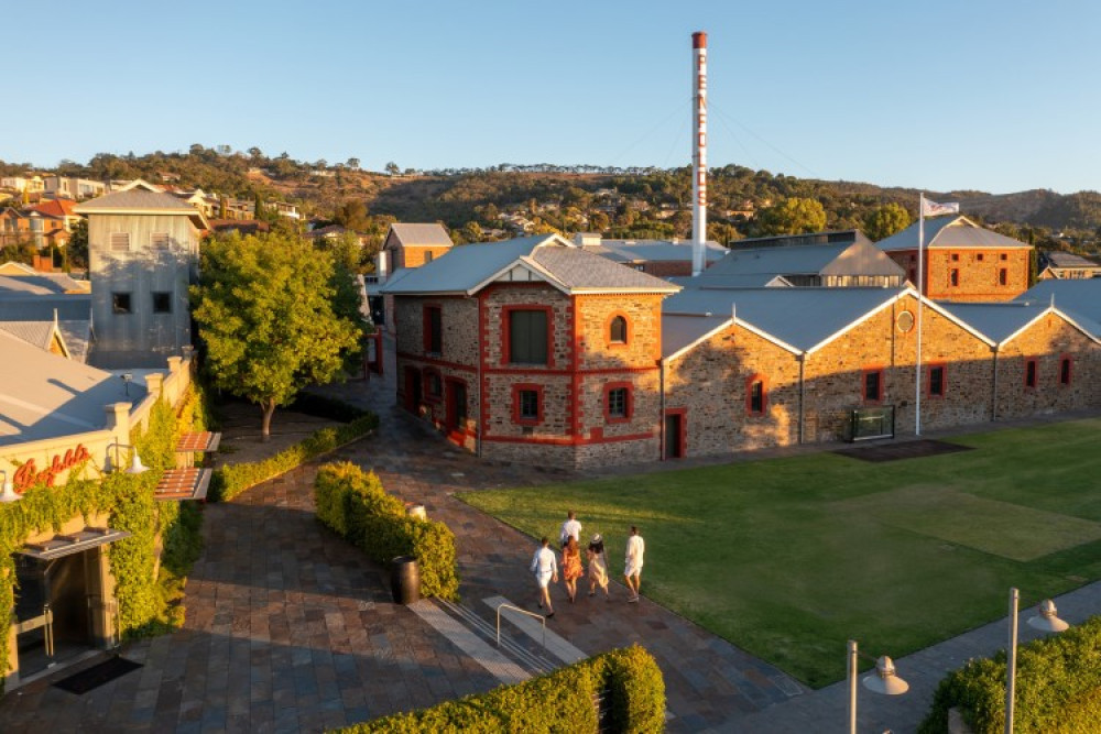 Small Batch Wine Tours