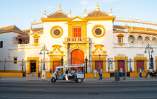 Eco Tuk Tuk5