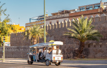 Eco Tuk Tuk6