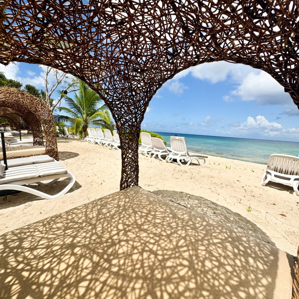 Isla Mia Roots