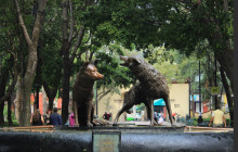 AMIGO TOURS MEXICO CITY - Operadora Arozarena11