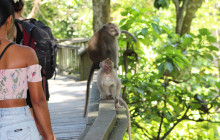 Bali Yowana Tour13