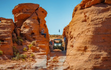 Kiwi Adventures Tour & Travel2