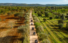 Algarve Riders7