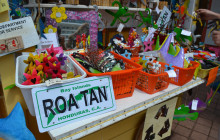 Roatan Henry tour19