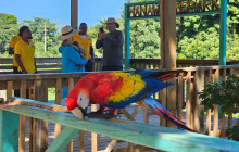 Roatan Henry tour10