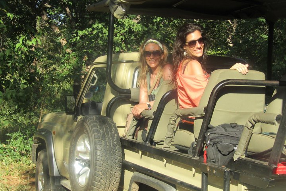 Private Full-Day Chobe Safari Game Drive from Kasane with Lunch