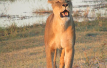 Moonlight Safaris and Tours9