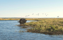 Moonlight Safaris and Tours3