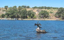 Moonlight Safaris and Tours4