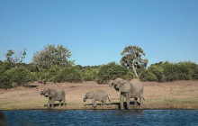 Moonlight Safaris and Tours1