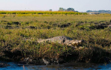 Moonlight Safaris and Tours6