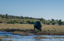 Moonlight Safaris and Tours3