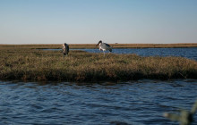 Moonlight Safaris and Tours4