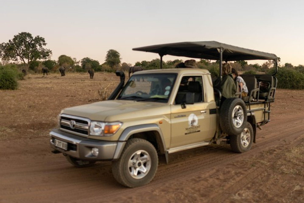 Small Group 2-Day Chobe Safari with Overnight Camping