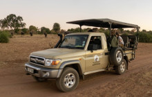 Moonlight Safaris and Tours1