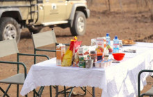 Moonlight Safaris and Tours6