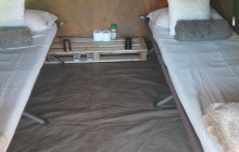 Moonlight Safaris and Tours9