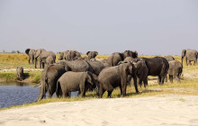 Moonlight Safaris and Tours1