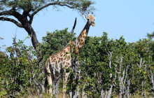 Moonlight Safaris and Tours2