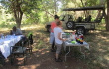 Moonlight Safaris and Tours1