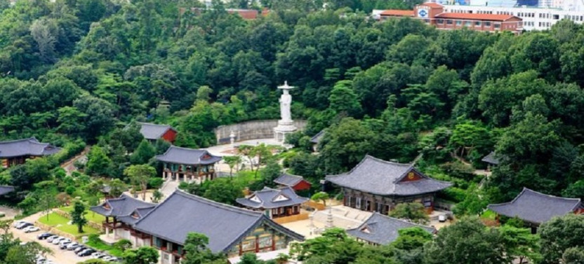 Seoul City Tour: Highlights of Seoul (Modern & Fun)